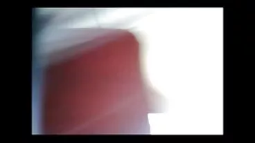 পেটা ট্র্যাড চুদা চুদি ভিডি